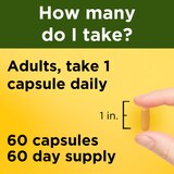 Nature Made Turmeric Curcumin 500 mg, Turmeric Capsules for Antioxidant Support, 60 CT, thumbnail image