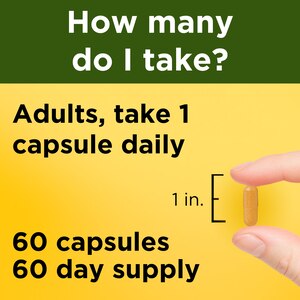 Nature Made Turmeric Curcumin 500 mg Capsules, 60 CT