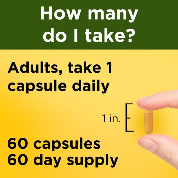 Nature Made Turmeric Curcumin 500 mg, Turmeric Capsules for Antioxidant Support, 60 CT