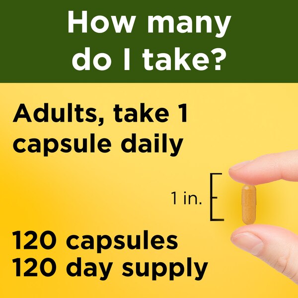 Nature Made Turmeric Curcumin 500 mg, Turmeric Capsules for Antioxidant Support, 120 CT