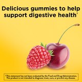 Nature Made Ultra Strength Digestive Probiotics for Women and Men, Probiotic Gummies, 42 CT, thumbnail image 3 of 10