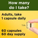 Nature Made Ashwagandha Capsules 125mg, 60 CT, thumbnail image