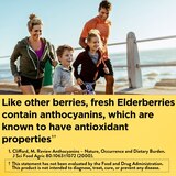 Nature Made Elderberry with Vitamin C and Zinc Gummies, 100 CT, thumbnail image