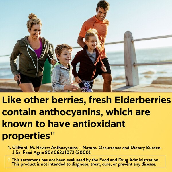 Nature Made Elderberry with Vitamin C and Zinc Gummies, 100 CT