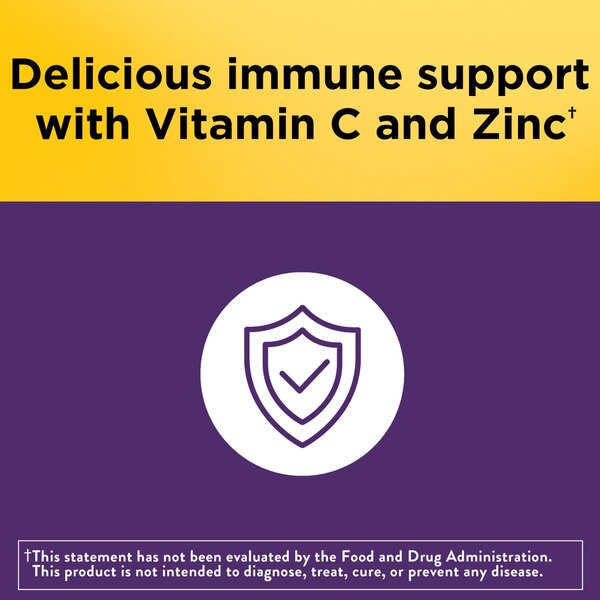Nature Made Elderberry with Vitamin C and Zinc Gummies, 100 CT