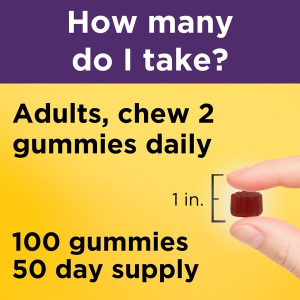 Nature Made Elderberry with Vitamin C and Zinc Gummies, 100 CT