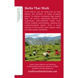 Traditional Medicinals Echinacea Plus Herbal Supplement, 16 ct, thumbnail image