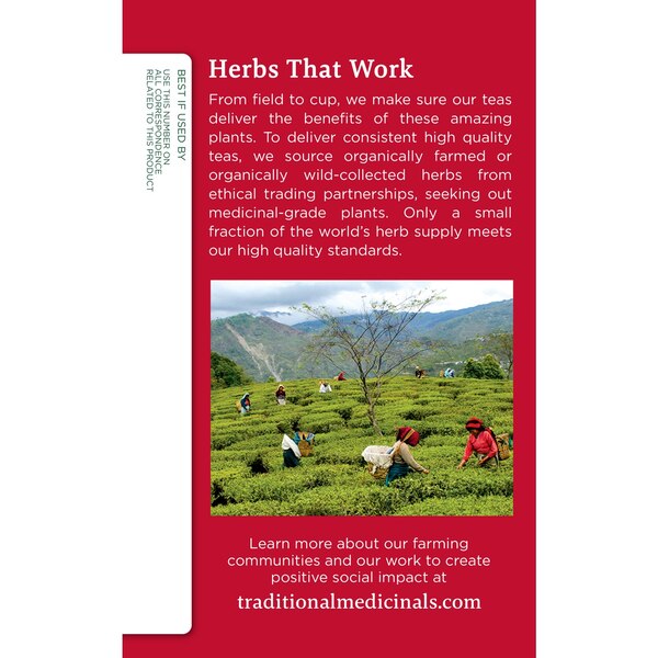 Traditional Medicinals Echinacea Plus Herbal Supplement, 16 ct