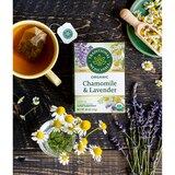 Traditional Medicinals Organic Herbal Tea, thumbnail image