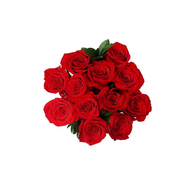 Premium Fresh Rose Bouquet
