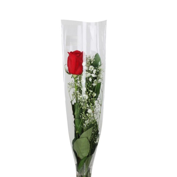 Single Stem Fresh Rose with Baby's Breath