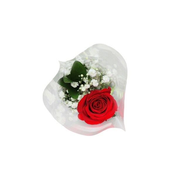 Single Stem Fresh Rose with Baby's Breath