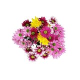Fresh Mixed Flower Bouquet, Assorted Colors, thumbnail image
