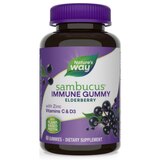Nature's Way Sambucus Sambucus Gummies Elderberry, 60 CT, thumbnail image