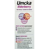 Nature's Way Branded Phytomedicines Umcka Elderberry Intensive Syrup, 4 OZ, thumbnail image