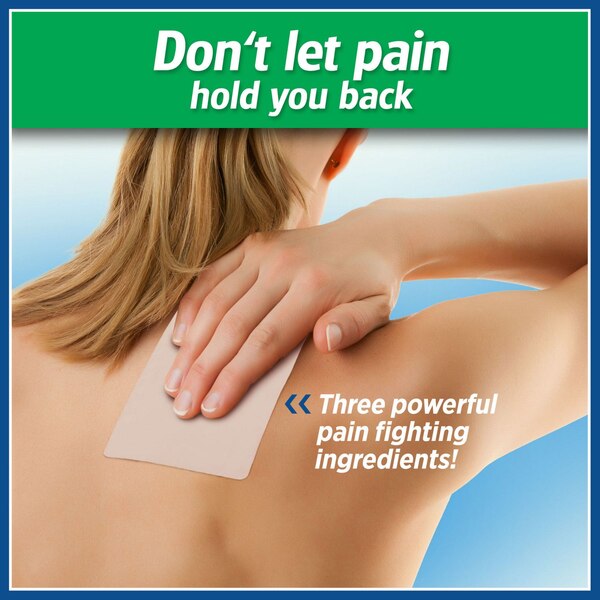 Salonpas Pain Relieving Patch, Large, 6 CT