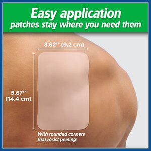 Salonpas Pain Relieving Patch, Large, 6 CT