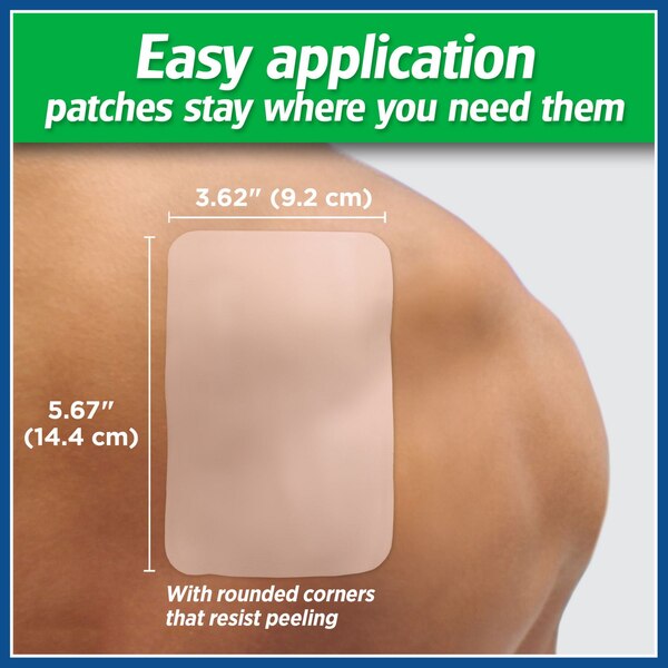 Salonpas Pain Relieving Patch, Large, 6 CT