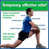 Salonpas Pain Relief Patch, 20 CT, thumbnail image