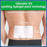 Salonpas Maximum Strength Lidocaine Gel Patches, 6 CT, thumbnail image
