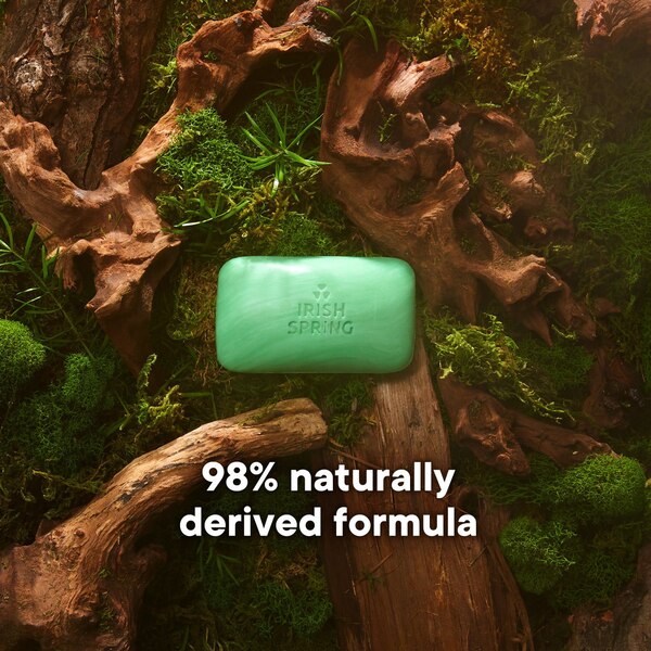 Irish Spring Bar Soap
