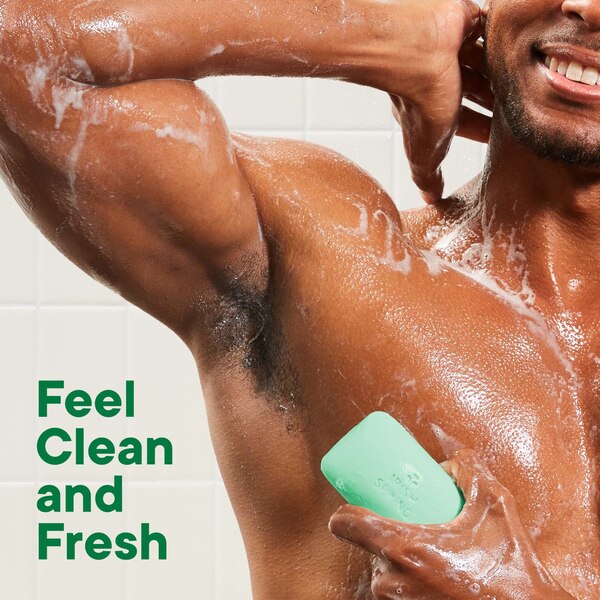 Irish Spring Bar Soap