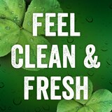 Irish Spring Bar Soap, thumbnail image 5 of 5