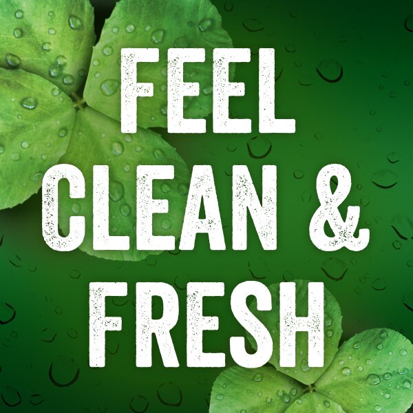 Irish Spring Bar Soap