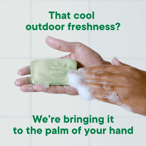 Irish Spring Moisturizing Bar Soap, Aloe Vera, 12 CT
