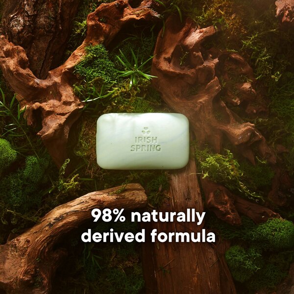 Irish Spring Moisturizing Bar Soap, Aloe Vera, 12 CT
