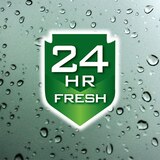 Irish Spring Signature Hydrtaing Body Wash, 15 OZ, thumbnail image