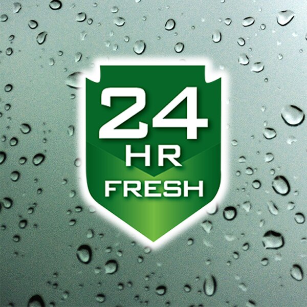 Irish Spring Signature Hydrtaing Body Wash, 15 OZ