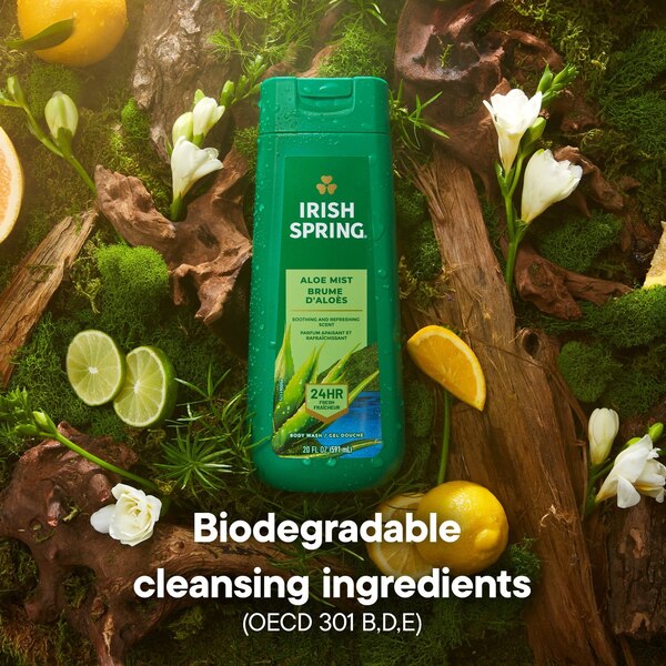 Irish Spring Body Wash, 20 OZ