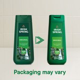 Irish Spring Body Wash, 20 OZ, thumbnail image