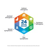 Flonase Non-Drowsy 24HR Allergy Relief Spray, 50mcg Flucticasone Propionate, thumbnail image