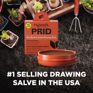 PRID Drawing Salve