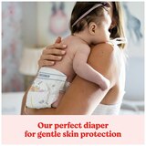 Huggies Little Snugglers Diapers, thumbnail image