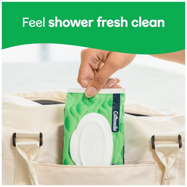 Cottonelle GentlePlus Flushable Wet Wipes, 42 CT
