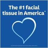 Kleenex Trusted Care Everyday Facial Tissues, 1 Flat Box (160 tissues), thumbnail image