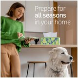 Kleenex Trusted Care Facial Tissues, 1 Flat Box, 72 Tissues per Box, 2-Ply, thumbnail image