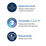 CeraVe Daily Face Wash, Foaming Cleanser for Normal to Oily Skin with Essential Ceramides & Niacinamide, thumbnail image