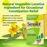 Senokot Regular Strength Laxative Tablets, thumbnail image