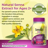 Senokot Dietary Supplement Laxative* Kids Gummies, Mixed Berry Flavor, 40 CT, thumbnail image