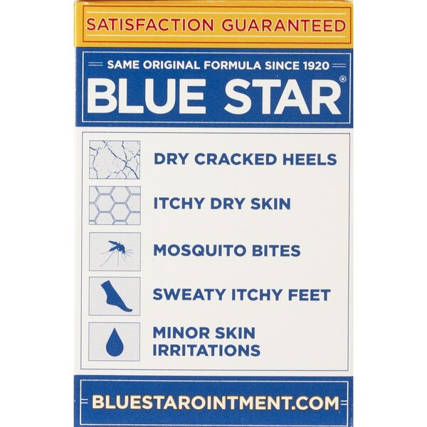 Blue Star Anti-Itch Medicated Ointment