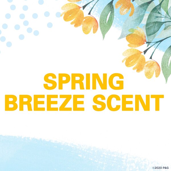 Secret Invisible Solid Antiperspirant Deodorant, Spring Breeze, 2.6 OZ