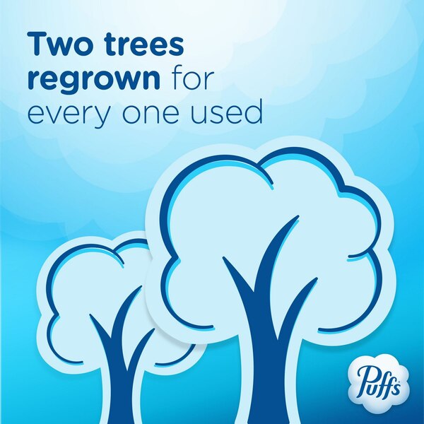 Puffs Plus Lotion Facial Tissues