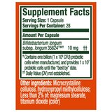Align Probiotic Supplement, thumbnail image