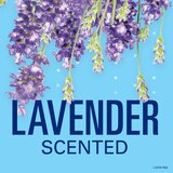 Secret 48-Hour Antiperspirant Stick, Lavender, 2.6 OZ, thumbnail image