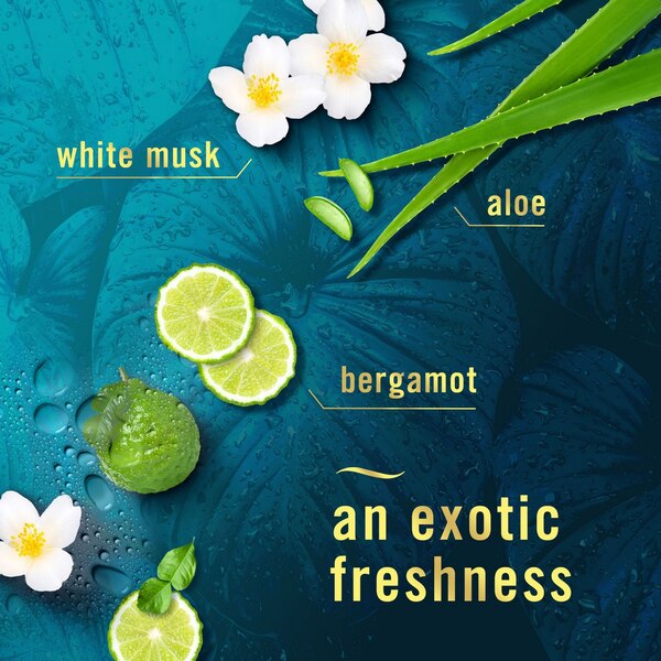 Febreze Luxe Air Freshener Mist, Rainforest, 8.8 oz