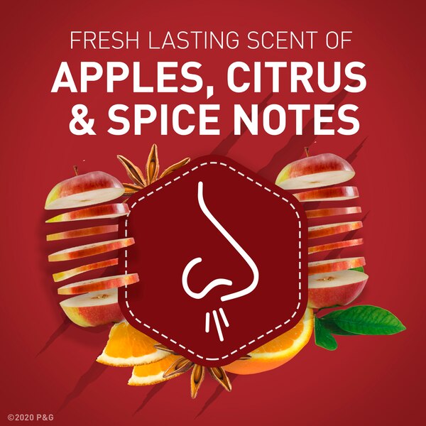 Old Spice Body Wash for Men, Bearglove